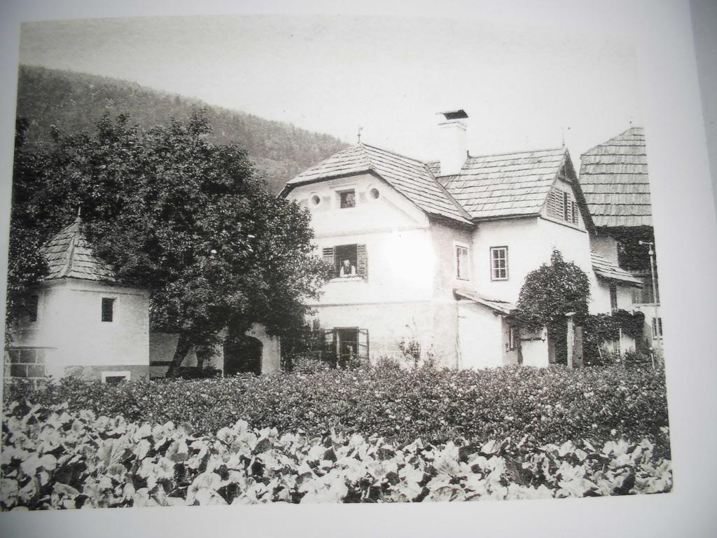 Pension&Ferienwohnung Dullnig Gmünd Exterior foto